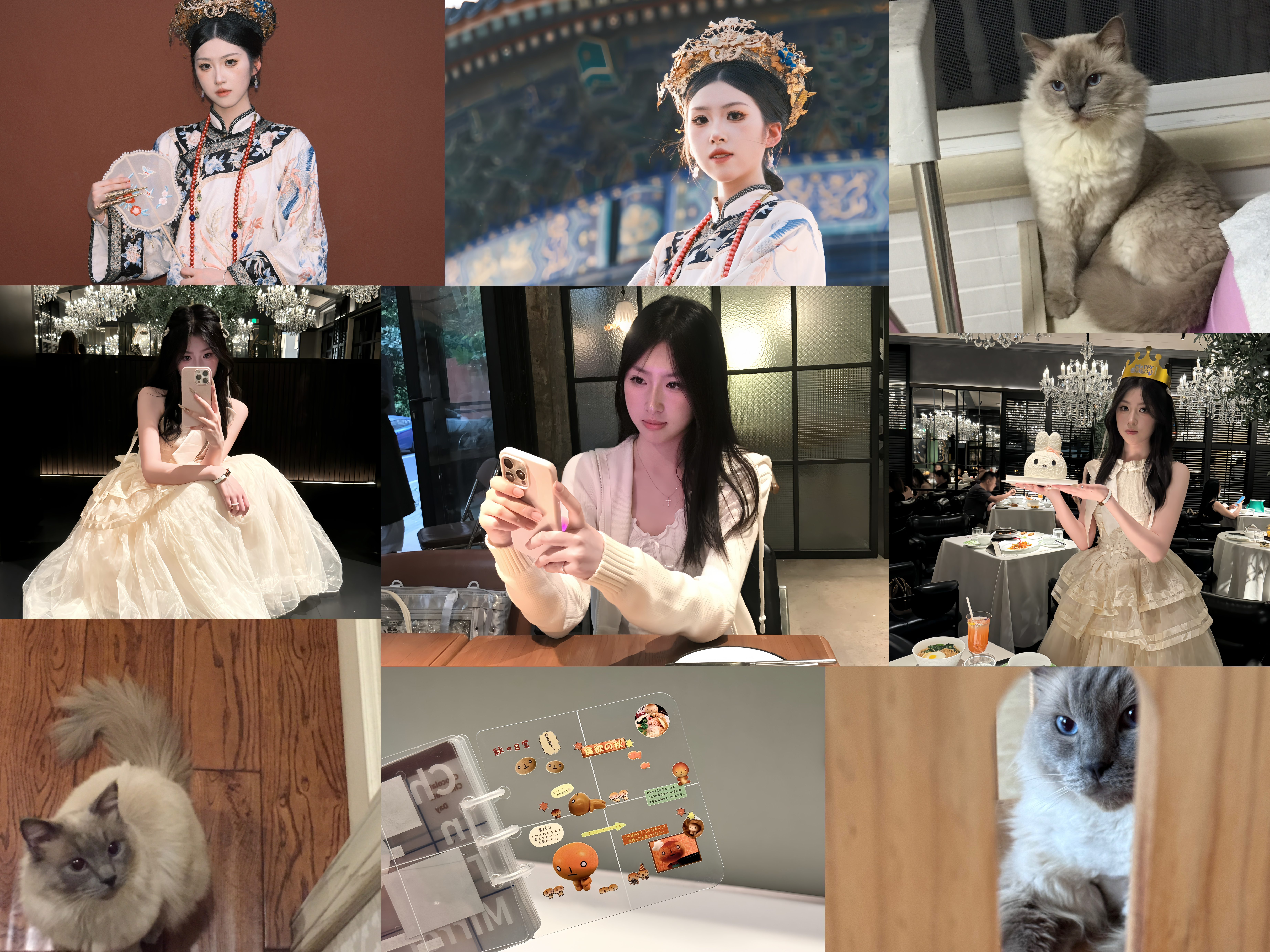 A large picture consisting of a nine-square grid puzzle, which includes the creator's photo, her cat, and the collage pieces she created.